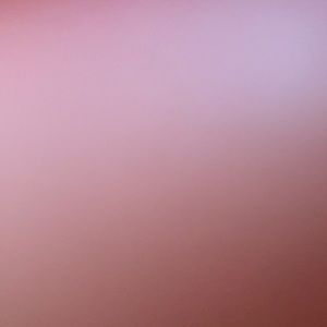 White and Yellow Dior low-top sneaker